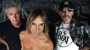 Iggy_Stooges484